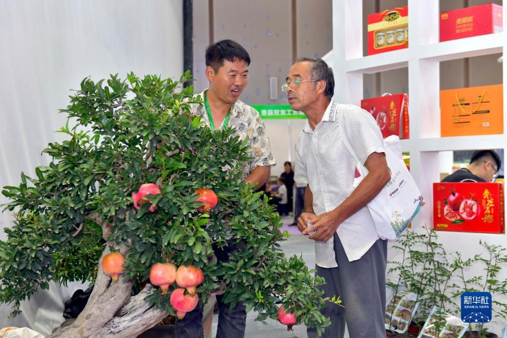 太阳城棋牌官网